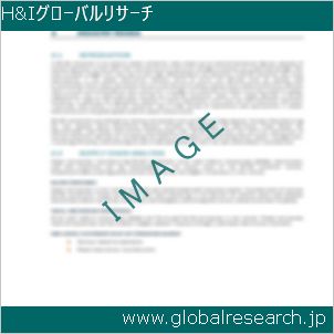 グローバルリサーチ調査レポートのイメージ